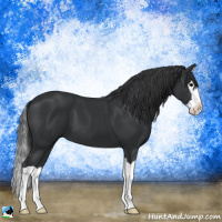 Horse Color:Black Mushroom Splash 