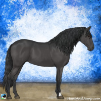 Horse Color:Black Mushroom 