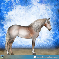 Horse Color:Gray Chocolate Palomino Sabino Tobiano