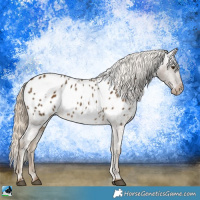 Horse Color:White Spotted Chocolate Palomino Mushroom Blanket Rabicano 