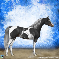 Horse Color:White Spotted Liver Chestnut Tobiano 