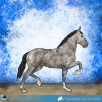 Horse Color:Grullo Ice Mushroom 