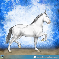 Horse Color:Grullo Ice Mushroom Sabino Splash Rabicano 