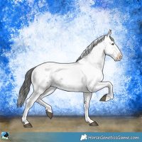 Horse Color:Brown Ice Dun Mushroom Sabino Brindle