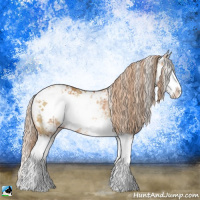 Horse Color:Gold Champagne Dun Sabino Splash Brindle