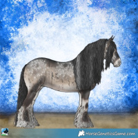 Horse Color:Blue Onyx Sabino Rabicano 
