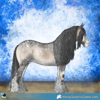 Horse Color:Brown Onyx Sabino Splash Appaloosa Rabicano