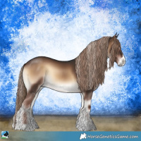Horse Color:Liver Red Onyx Sabino Rabicano 