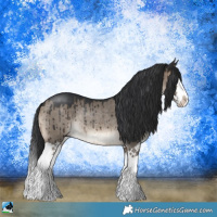 Horse Color:Brown Dun Splash Rabicano Brindle 