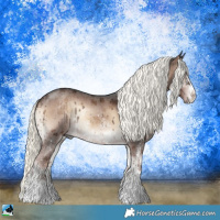 Horse Color:Liver Red Onyx Mushroom Sabino Rabicano 