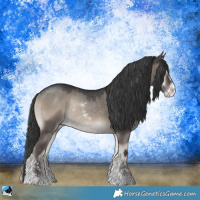Horse Color:Grullo Onyx Sabino Rabicano 