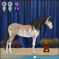 Horse Color:White Spotted Liver Red Dun 