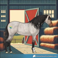 Horse Color:Bay Roan Dun 