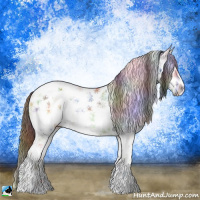 Horse Color:Nacre Buckskin Ice Onyx Sabino Splash Tobiano Frame 