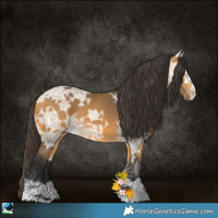 Horse Color:Buckskin Ice 