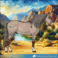 Horse Color:Liver Red Dun Mushroom 