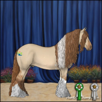 Horse Color:Red Dun Tobiano 