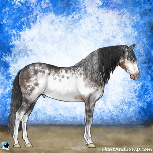 Horse Color:Brown Splash Frame Rabicano 