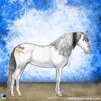 Horse Color:Liver Red Dun Onyx Sabino Splash Brindle 