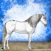 Horse Color:Liver Chestnut Mushroom Sabino Splash Frame 