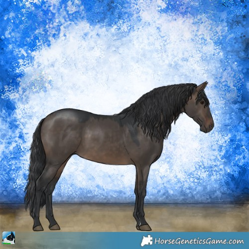 Horse Color:Brown Dun