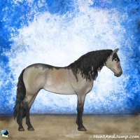 Horse Color:Brown Dun Mushroom Rabicano
