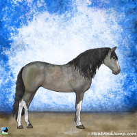 Horse Color:Grullo Mushroom 