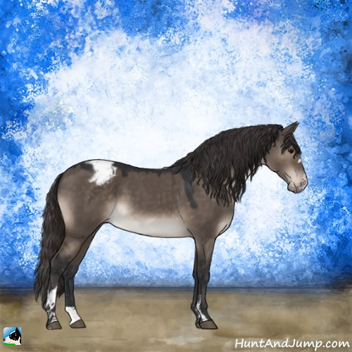 Horse Color:Brown Dun Mushroom Sabino Appaloosa 
