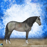 Horse Color:Grullo Mushroom 