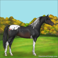 Horse Color:Brown Tobiano Varnish 