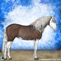 Horse Color:Liver Chestnut Mushroom Splash Rabicano