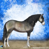 Horse Color:Blue Onyx Mushroom Sabino 