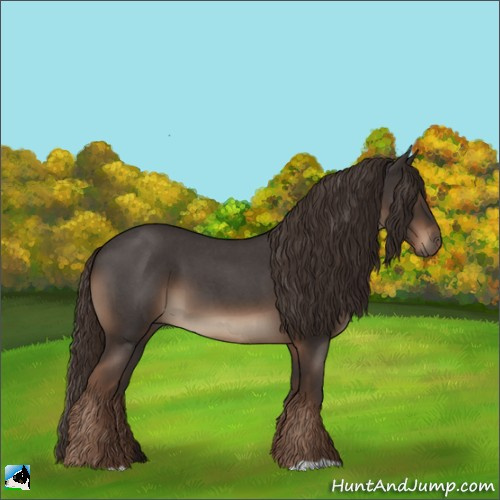 Horse Color:Liver Red Roan 