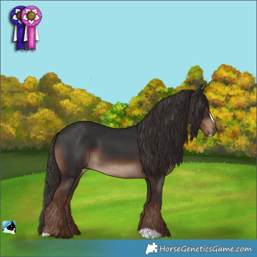 Horse Color:Liver Chestnut Frame 