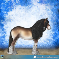 Horse Color:Liver Red Onyx