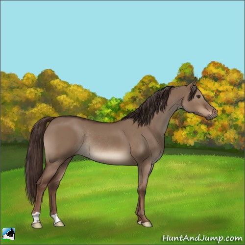 Horse Color:Liver Red Dun Rabicano 