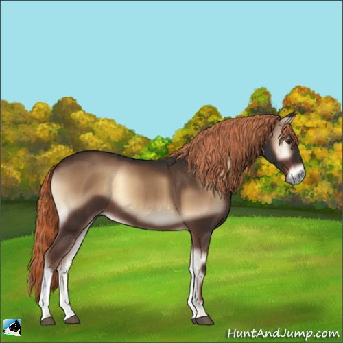 Horse Color:Liver Red Onyx 
