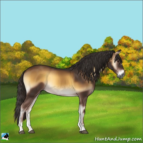 Horse Color:Gray Liver Red Onyx 