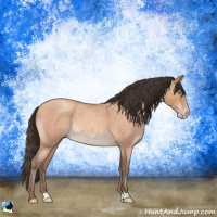 Horse Color:Sable Champagne Roan Rabicano