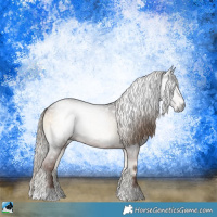Horse Color:Gray Liver Red Onyx 