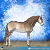 Horse Color:Liver Red Dun Onyx 