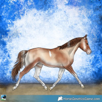 Horse Color:Gold Champagne Onyx Tobiano
