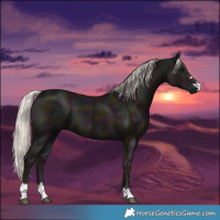 Horse Color:Midnight Silver Black 