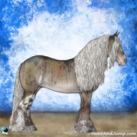 Horse Color:Liver Red Dun Mushroom Sabino Rabicano Brindle 