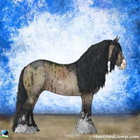 Horse Color:Brown Dun Sabino Brindle
