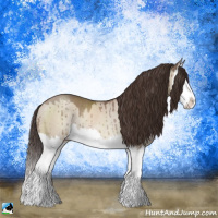 Horse Color:Classic Champagne Dun Sabino Splash Rabicano Brindle 