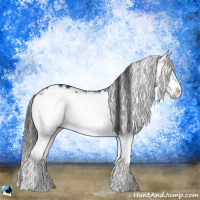 Horse Color:Grullo Onyx Mushroom Sabino Splash Rabicano Brindle 