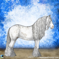 Horse Color:Liver Red Dun Mushroom Sabino Splash 