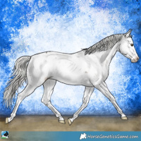 Horse Color:Liver Red Dun Mushroom Sabino Splash Rabicano Brindle