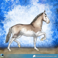 Horse Color:Liver Red Dun Onyx Mushroom Sabino Splash 